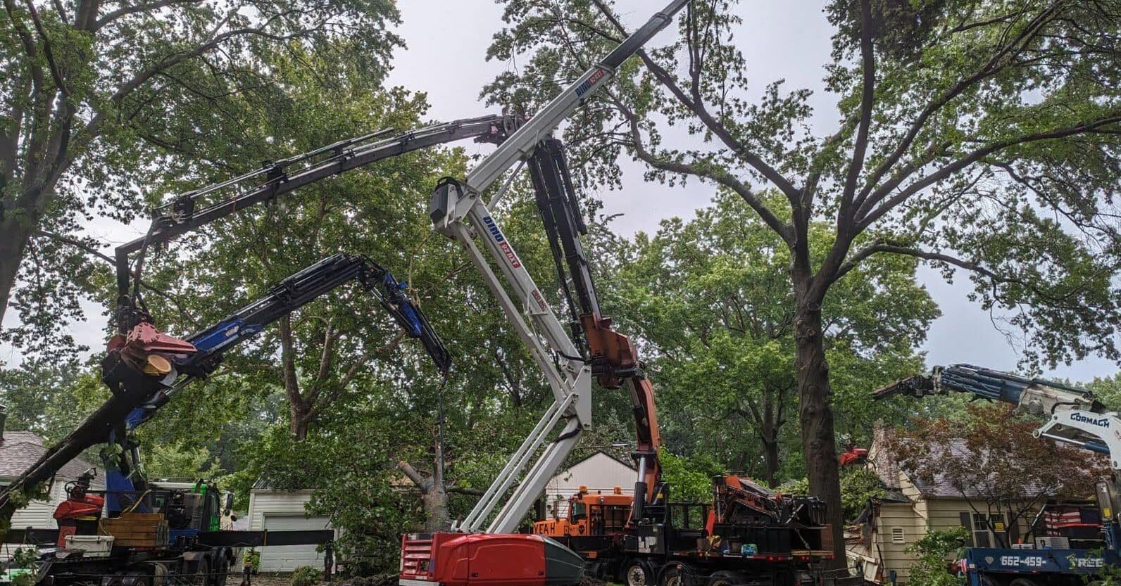 Multiple Garrison McKinney cranes on one job site