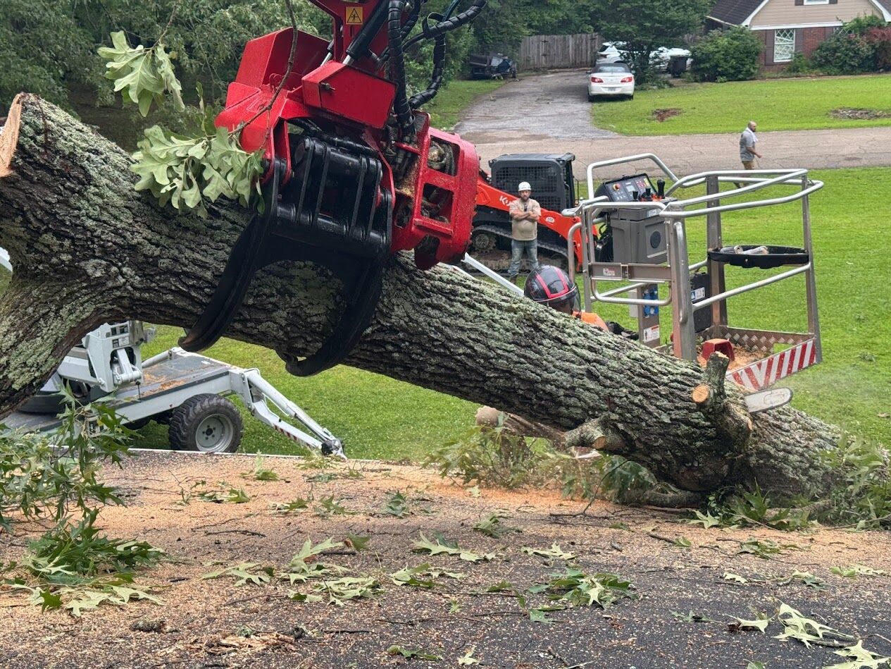 Grapple saw lifting a large oak trunk over a driveway