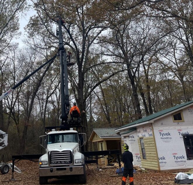Crane lifting tree sections beside a building under construction