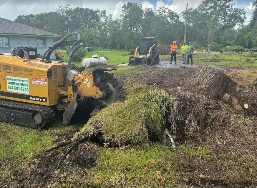 Tracked stump grinder working a large stump in a residential yard